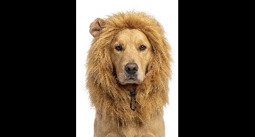 Holland Animal Care Oranje Manen - L - WK Hondenkostuum - Tooi - Hondenmuts - Hondenspeelgoed - Oranje Leeuw