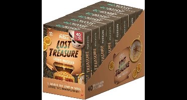 Lost treasure - logica puzzels (12+)