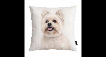Unique Living - 4 stuks - kussenhoes - sierkussenhoes - wit - pastel - 45 x 45 cm - rits - fluweel - hond - Maltezer Leeuwtje