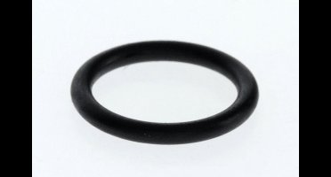 BOSCH O-ring (10x), 87002051360