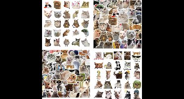 Set van 100 kattenstickers in verschillende kleuren voor laptops, waterflessen, gitaren en meer