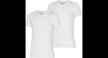 Apollo heren T-shirt Bamboe - V Hals- 2-pack - Wit  - XXL