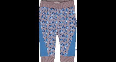 4President-Jongens broek Borre-Forrest Blue