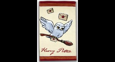 Gastendoekje Harry Potter