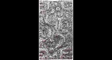 PTMD Wandpaneel Eogan - 50x5x90 cm - Aluminium - Metaal