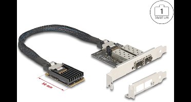 DeLOCK 95281 interfacekaart/-adapter Intern SFP