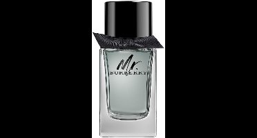 Burberry Mr. Burberry Eau de Toilette 100ml