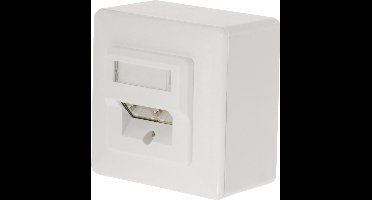 Valueline Netwerk wandcontactdoos - 2x RJ45 / CAT6 - wit