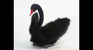 Zwarte Zwaan Knuffel, Hansa