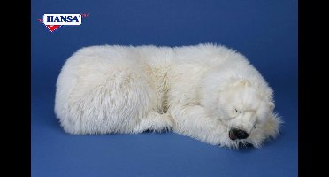 Grote IJsbeer mama slapend, Hansa