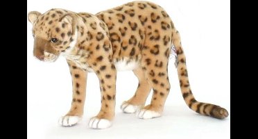 Panter knuffel, Hansa