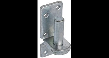 Plaatduim Verzinkt 16 mm – Voor hengen met 19 mm oog