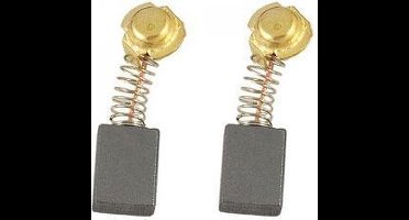 Hitachi koolborstel 999021 (2st)