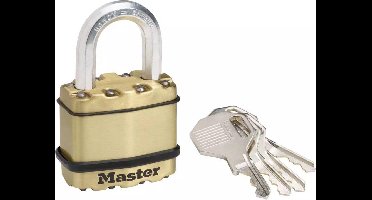 Master Lock Hangslot 45 mm staal M1BEURD