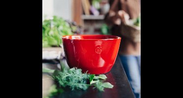 Emile Henry Saladeschaal - 220x220x140mm - Grand Cru