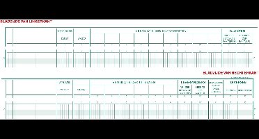 Exacompta Boekhoudingsregister Kas- en/of bankboek - 31 lijnen - ingekeepte hoofding - 2 omschrijvingen - 5 Debit, 5 Credit - Nederlandstalig - ingebonden - 80 blad - - 16520X