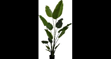 Silk-ka Kunstplant Strelitzia Zijde Groen 150 cm