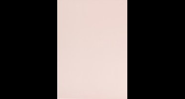 Vellumpapier, A4, vel 210x297 mm, 100 gr, lichtrood, 10 vel/ 1 doos