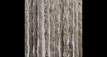 Luxe Kattenstaart Vliegengordijn - 90 x 220cm - Grijs