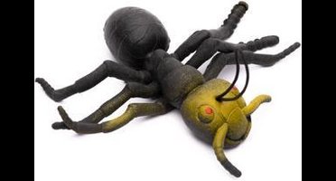 Zebra Trends Sleutelhanger Mier