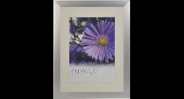 Desq 4903 | Fotolijst Aluminium | Sterk Helder Plexiglas | 30 x 40 cm