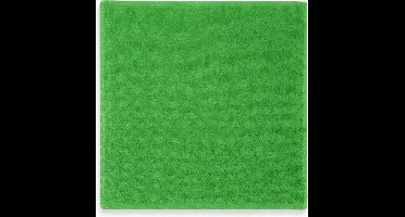 Funnies Spuugdoek Junior 30 X 30 Cm Katoen Groen