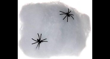 Spinnenweb met 6 Spinnen - 50 gram mooi web - Halloween - spinnenweb 50 gram met 6 spinnen