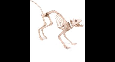 Smiffys - Cat Skeleton Prop Halloween Decoratie - Wit