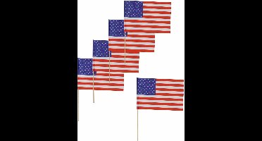 Vegaoo - 12 USA cocktailprikkers