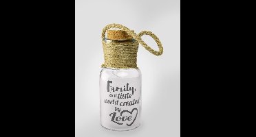 Big star light - Family is a little world