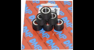 Variorollenset (6.3Gr) 19x15.5mm Piaggio / Aprilia / Derbi / Vespa Scooter