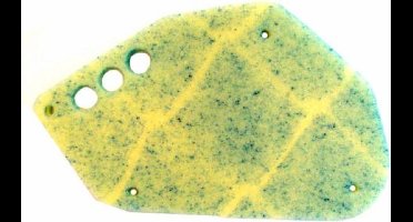 Luchtfilterelement Derbi Senda DRD / Aprilia RX50 / Aprilia SX 50 / Gilera SMT