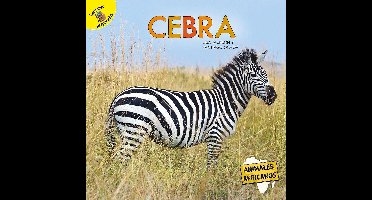 Animales africanos (African Animals) - Cebra