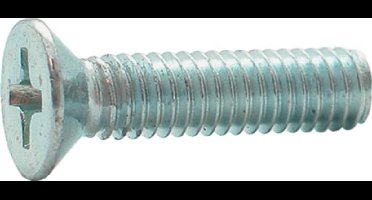 Hoenderdaal Metaalschroef platverzonken kop zaagsnede verzinkt 48 m5 x 80mm