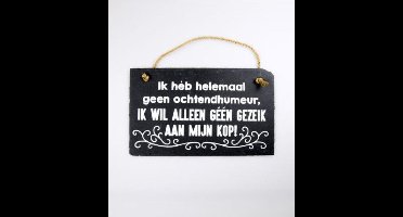 Leisteen - Ochtendhumeur