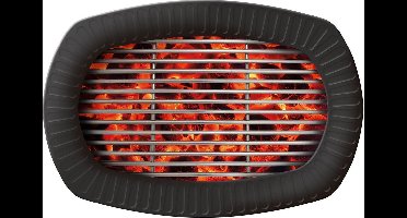 BBQ Borden 24cm - Kartonnen borden voor barbecue - 6 stuks