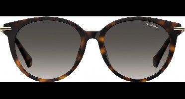 POLAROID Zonnebril (PLD4084/F/S) Volwassenen Bruin Volledig omrand Polarizerend