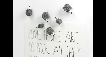 Trendform Dierenmagneten - Egels