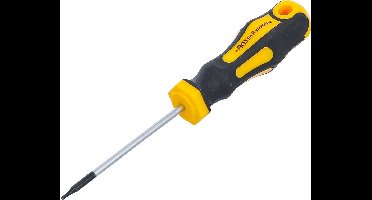 BGS Schroevendraaier - Torx T6 - Meslengte 60 mm
