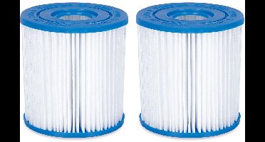 Summer Waves Filter Cartridge Type I 2 Stuks