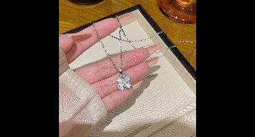 Gading dames ketting met een klavertje vier- RVS ketting-zilverkleurig- 10mm-40cm+5cm