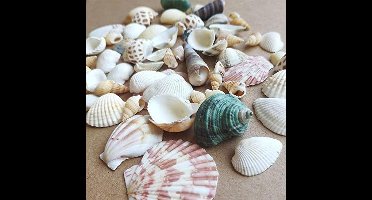 Thelau - Natuurlijke strand- en knutselschelpen voor decoratiefeesten en bruiloften, ca. 100 g