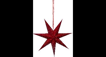 Lumineo verlichte kerstster - rood - D58 x L24,5 cm - papier - LED - warm wit - steady light - timer - binnen - transformator - IP20