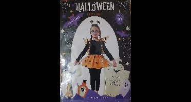 Halloween costume (oranje) 3-5 jaar (rok, vleugels, diadeem)
