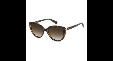 Zonnebrillen Polaroid PLD 4176/S/X 086/LA