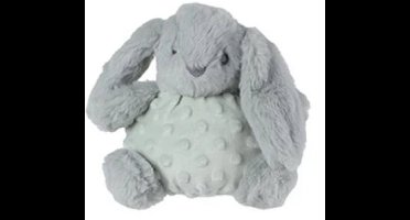 Knuffel konijn groen, Rammelaar konijn, Knuffel, Mini club, Konijn