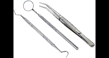 Donau Elektronik Inspectiespiegelset