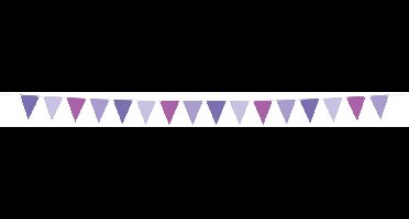 Folat - Vlaggenlijn posh purple - 6 meter