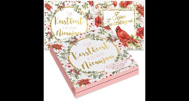 Janneke Brinkman kerstkaartenmapje - Bloempot & roodborstjes � Bloempot & amaryllis