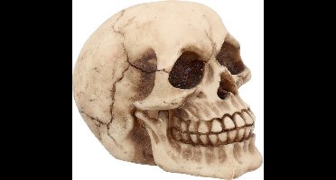 Nemesis Now Beeld/figuur Joker 12cm Schedel Creme